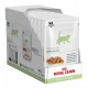 Royal Canin Feline Vet Pediatric Growth Comida para Gatos