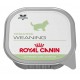 Royal Canin Pediatric Weaning 12x195 gr Comida para Gatos