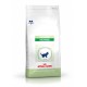 Royal Canin Feline Kitten Pediatric Weaning 2 kg Comida para Gatos