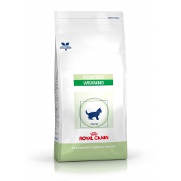 Royal Canin Feline Kitten Pediatric Weaning 2 kg Comida para Gatos