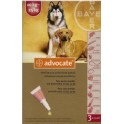 Advocate Pipetas para perros 10-25 Kg