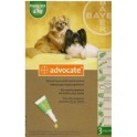 Advocate Pipetas para perros hasta 4 Kg