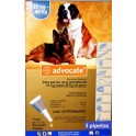 Advocate Pipetas para perros + de 25 Kg