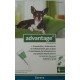 Advantage 40 4 Pipetas para Perros hasta 4 Kg.