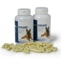 COLAID 90 Capsulas Complemento Gastrointestinal para perros