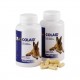 COLAID 90 Capsulas Complemento Gastrointestinal para perros