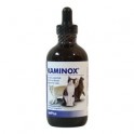 KAMINOX 120 ml Insuficiencia Renal en Gatos