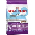 Royal Canin Junior Giant Dog 15 kg pienso para perros