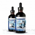 KAMINOX 60 ml Insuficiencia Renal en Gatos