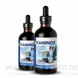 KAMINOX 60 ml Insuficiencia Renal en Gatos