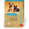 Advocate Pipetas para perros 4-10 Kg