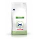 Royal Canin Feline Vet Pediatric Growth Comida para Gatos