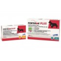 Fortekor Plus Insuficiencia Cardiaca Comprimidos para Perros
