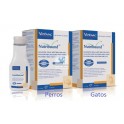 NUTRIBOUND GATOS 3 x 150 ml Complemento Nutricional para Gatos en recuperación