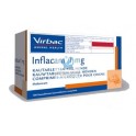INFLACAM ORAL 100 Comprimidos Antiinflamatorio para Perros