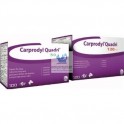 CARPRODYL® QUADRI 50 mg 100 Comprimidos Carprofeno Antiinflamatorio Masticable para perros
