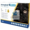 STRONGHOL PLUS GATOS 3 Pipetas para Gatos