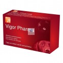 VIGOR PHARMA Comprimidos Suplemento Nutricional para Perros y Gatos