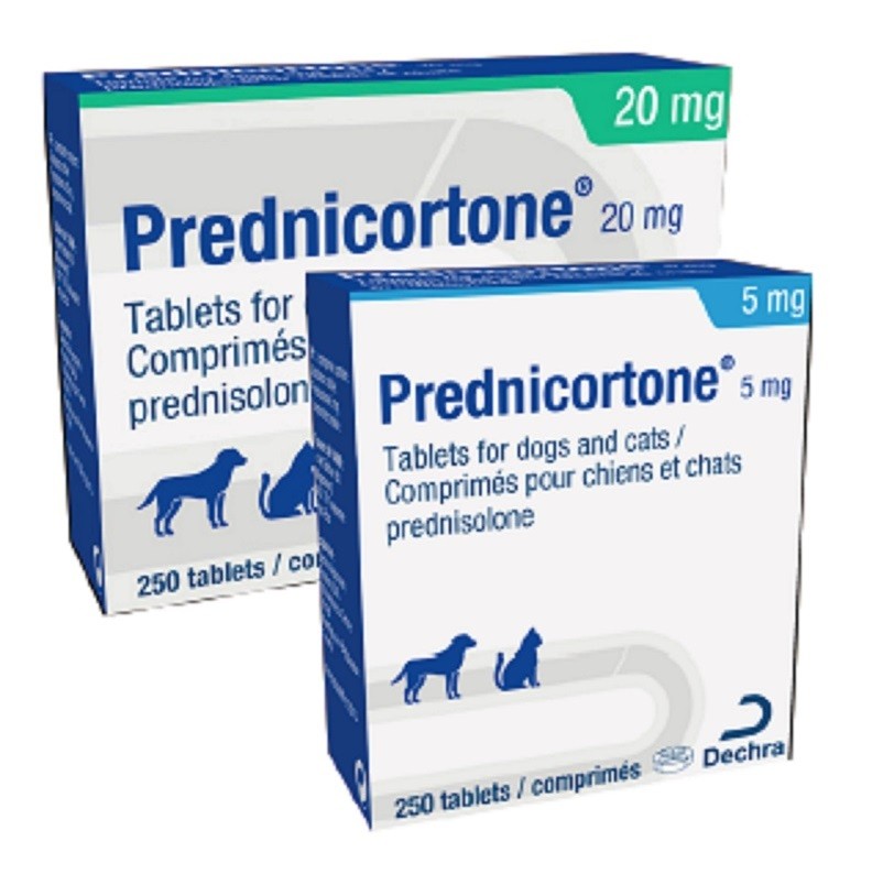 Prednisolone 10mg online