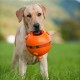 PELOTA MAJOR DOG Juguetes para Perros