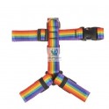 ARNES BUB´S NOT PULL RAINBOW Arneses y Collares para Perros