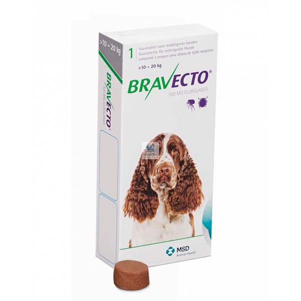 bravecto perros amazon