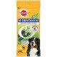 DENTASTIX FRESH 10 Bolsas de 7 Sticks Snacks Dental para Perros