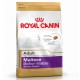 Royal Canin Adult Bichón Maltés 1.5 Kg Pienso para Perros