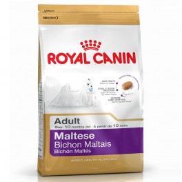 Royal Canin Adult Bichón Maltés 1.5 Kg Pienso para Perros