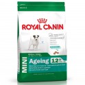 Royal Canin Mini Ageing (12+) Pienso para Perros