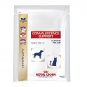 Royal Canin Convalescence Support Instant 10x50 gr Pienso para Perros