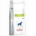 Royal Canin Weight Control DS30 Pienso para Perros