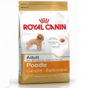 Royal Canin Adult Poodle 500 g Pienso para Perros