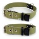 COLLAR ALGODON CANVAS VERDE AJUSTABLE Varias Medidas Collares para Perros