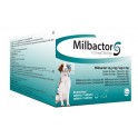 MILBACTOR PERROS + 5 Kg Antiparasitario para Perros