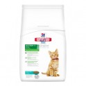 Hills Feline KITTEN Atun 2 Kg comida para gatos