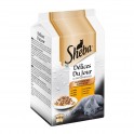 SHEBA DELICES DU JOUR AVE 12 x 6 x 50 g Comida para Gatos