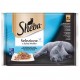 SHEBA SELEZIONE PESCADO SALSA 13 x 4 x 85 g Comida para Gatos