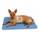 ALFOMBRA REFRESCANTE COOL-RELAX Accesorios para Perros