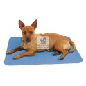 ALFOMBRA REFRESCANTE COOL-RELAX Accesorios para Perros