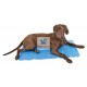 ALFOMBRA REFRESCANTE COOL-RELAX Accesorios para Perros