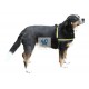 ARNES LUMINOSO LIGHT-REFLEX 25 mm Arnes para Perro