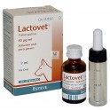 LACTOVET Oral Antigalactogeno para perras