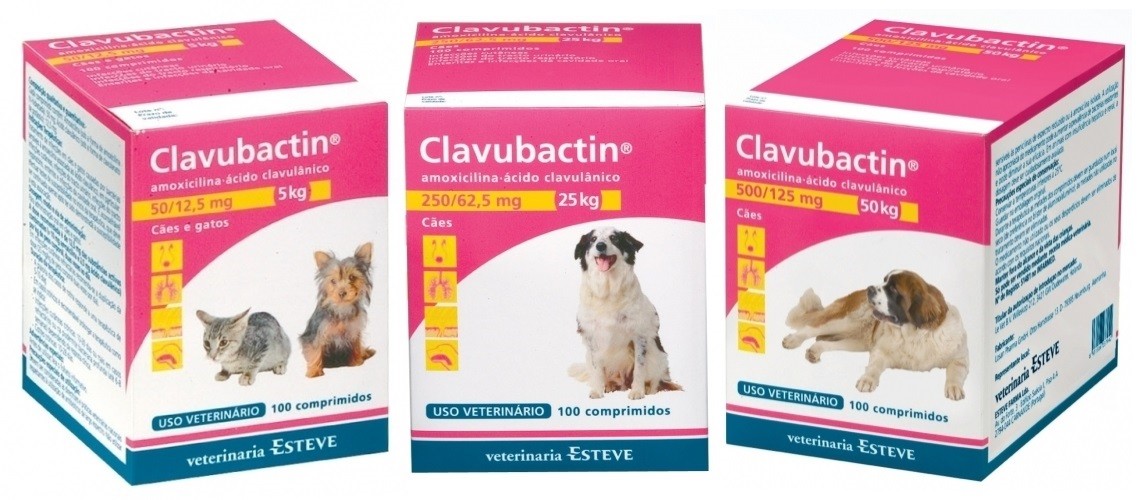 Clavubactin Comprimidos Antibiotico Para Perros Y Gatos
