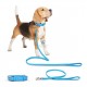 CORREA CUERO GLAMOUR Longitud 122 cm Correa para Perros