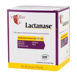 LACTANASE 12x25 g Suplemento de Alto Rendimiento y función muscular en Caballos