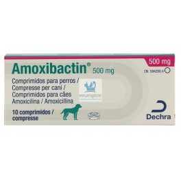 Amoxicillina comprar