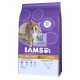 IAMS GATO KITTEN & JUNIOR POLLO 2.55 Kg Comida para Gatos