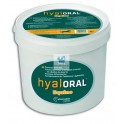 HYALORAL EQUINO 840 g Protector articular para caballos