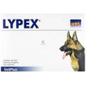 LYPEX 60 Capsulas Enzimas Pancreáticas Complementos para Perros y Gatos